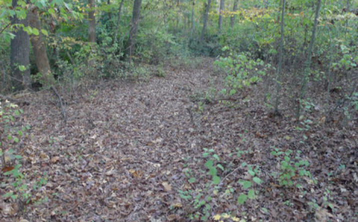 Pictures of Land property located at 187 Caravan Ln, Mocksville, NC 27028 for sales - image #1