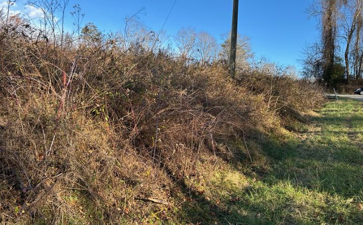 Pictures of Land property located at 2733 Billings Hill Church Rd, Traphill, NC 28685 for sales - image #1