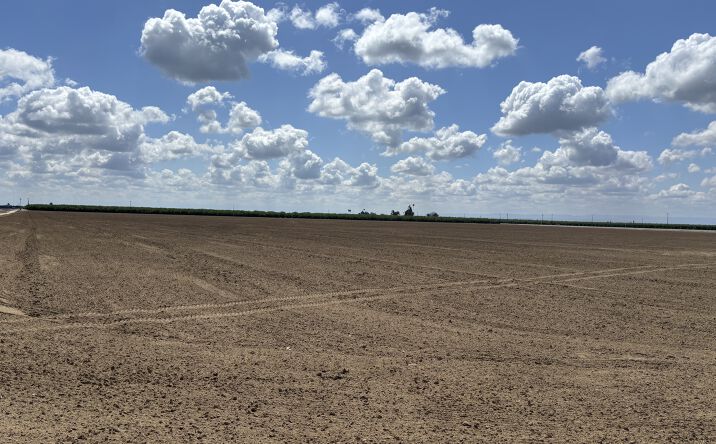 Pictures of Land property located at Highway 43, Wasco, CA 93280 for sales - image #1
