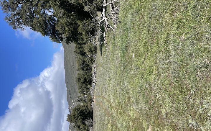 Pictures of Land property located at Guatay, Guatay, CA 91931 for sales - image #1