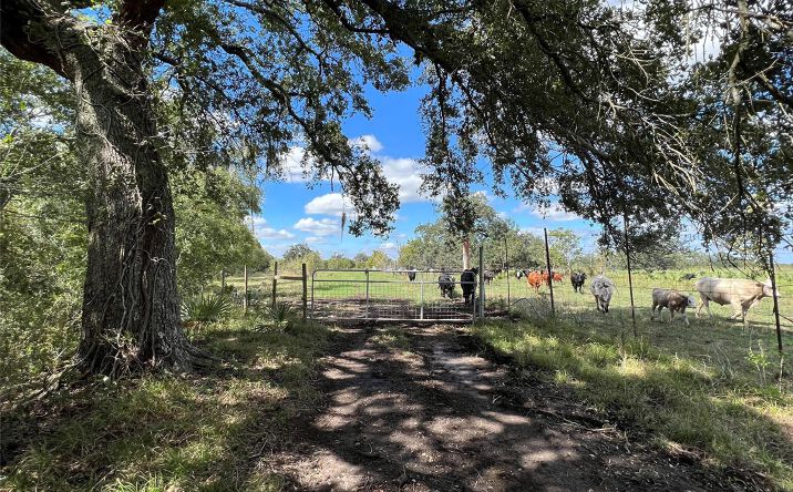 Pictures of Industrial, Land, Mixed Use property located at 26400 TX-35, Sweeny, TX 77480 for sales - image #1