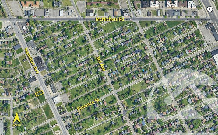 Pictures of Land property located at 16625 Hamilton Ave, Highland Park, MI 48203 for sales - image #1