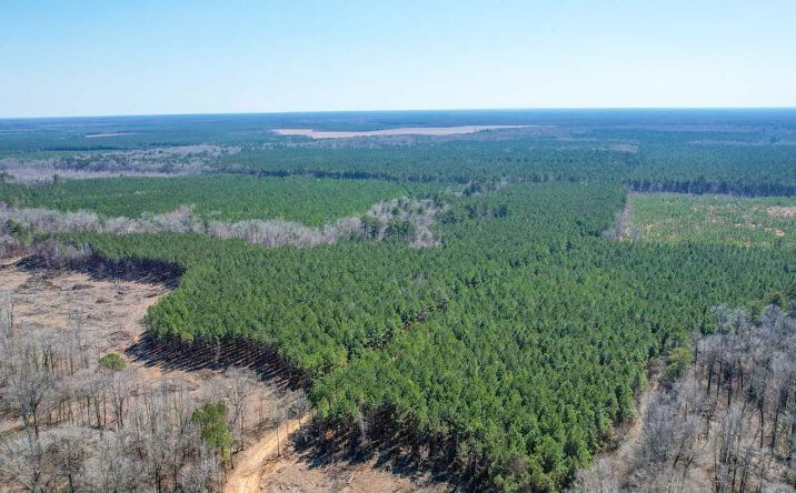 Pictures of Land property located at Kickton Trail, Hamburg, AR 71646 for sales - image #1