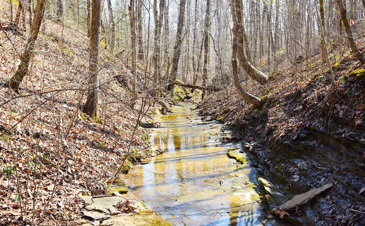Pictures of Land property located at 5100 Subtle Rd, Edmonton, KY 42129 for sales - image #1