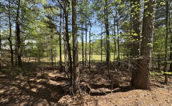 Pictures of Special Purpose, Land property located at 000 Buffington Road, Benton, AR 72019 for sales - image #1