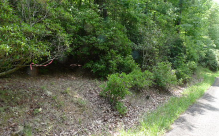 Pictures of Land property located at Lot 17 Mountain View Dr, Lowgap, NC 27024 for sales - image #1