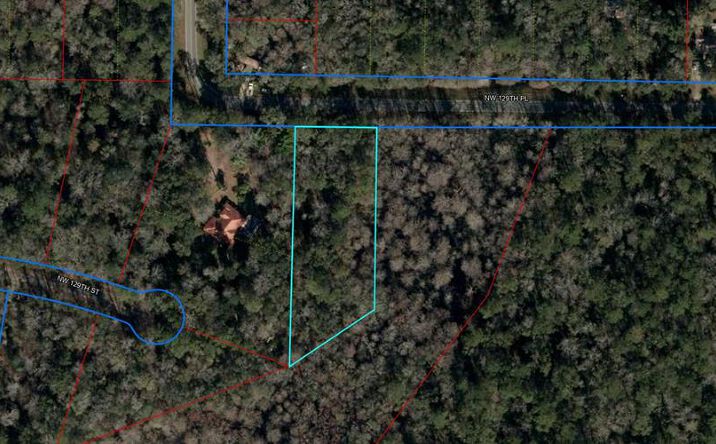 Pictures of Land property located at 129th Pl, Chiefland, FL 32626 for sales - image #1