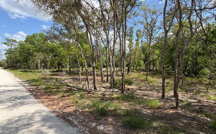 Pictures of Land property located at 190th Ave, Old Town, FL 32680 for sales - image #1