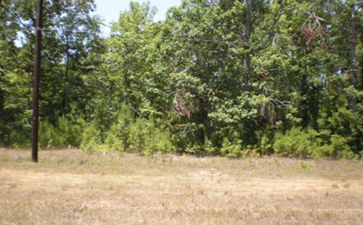 Pictures of Land, Mixed Use property located at 8739 US Hwy 190, Livingston, TX 77351 for sales - image #1