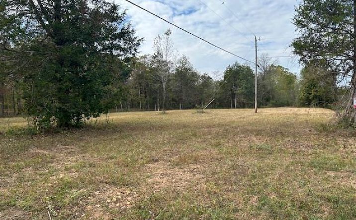 Pictures of Land property located at 2664 Hwy M, Ironton, MO 63650 for sales - image #1