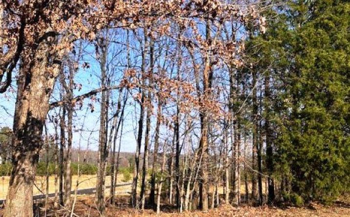Pictures of Land property located at Lot 88 Forest Ridge Dr, Paducah, KY 42003 for sales - image #1