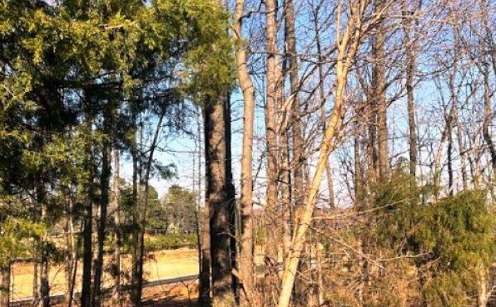 Pictures of Land property located at Lot 89 Forest Ridge Dr, Paducah, KY 42003 for sales - image #1