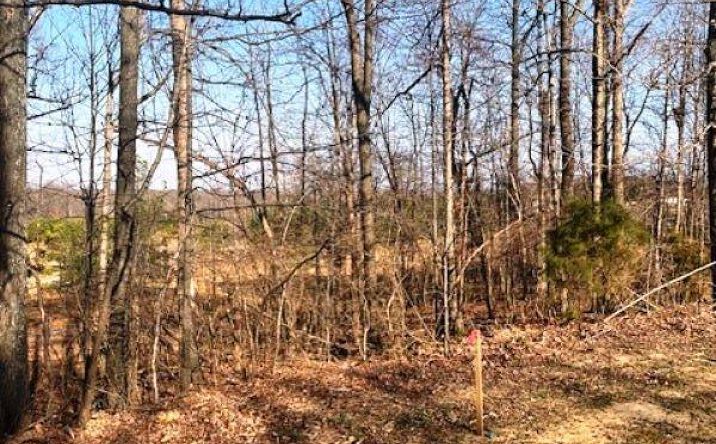 Pictures of Land property located at Lot 87 Forest Ridge Drive, Paducah, KY 42003 for sales - image #1