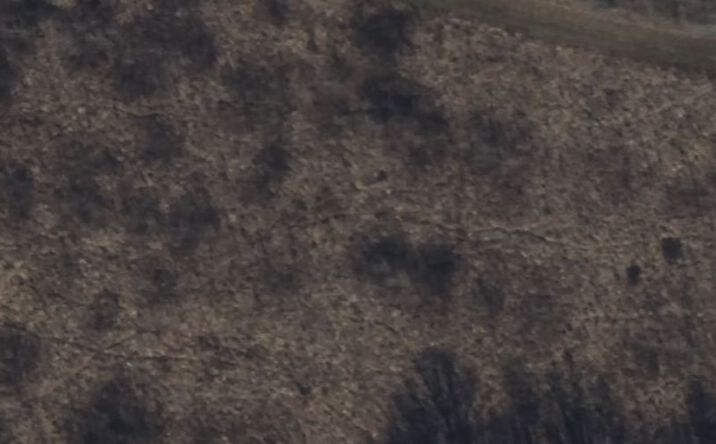 Pictures of Land property located at L-84 Overlook Dr, Paducah, KY 42003 for sales - image #1