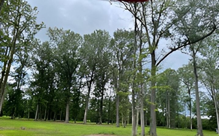 Pictures of Land property located at 2625 Neal Drive Lot 2, Block F, Paducah, KY 42003 for sales - image #1