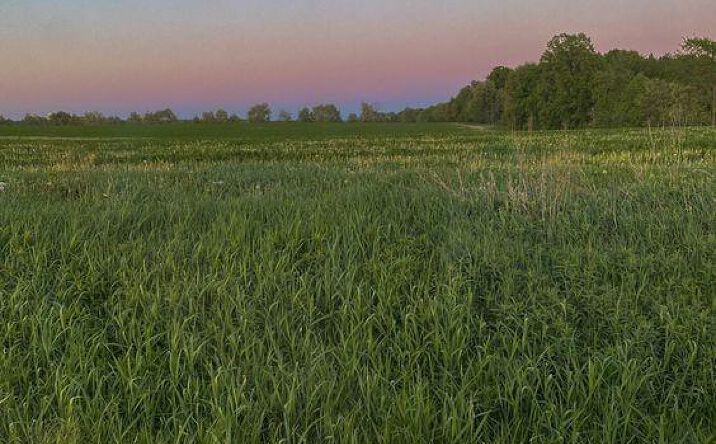 Pictures of Land, Multifamily property located at Lot 1 State Route W Highway, Drexel, MO 64742 for sales - image #1