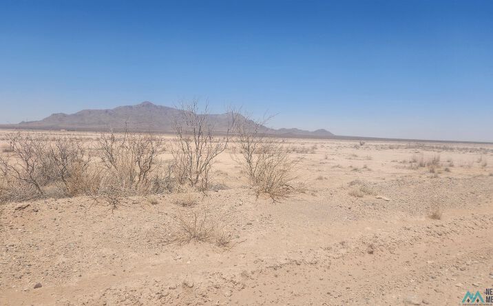 Pictures of Land property located at Columbus Hwy Highway, Deming, NM 88030 for sales - image #1