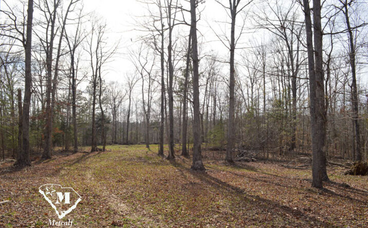 Pictures of Land property located at Cowpens Pacolet Rd, Spartanburg, SC 29307 for sales - image #1
