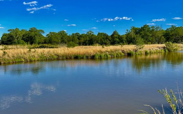 Pictures of Land, Multifamily property located at 00 Oscar Lee Rd, Poplarville, MS 39470 for sales - image #1