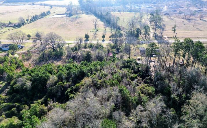 Pictures of Land property located at 2781 FM-2327, Queen City, TX 75572 for sales - image #1
