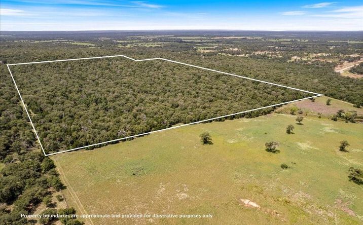 Pictures of Land property located at Hidden Oaks Dr, undefined, TX 78621 for sales - image #1