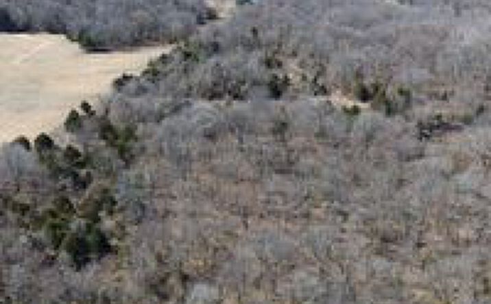 Pictures of Land property located at 9489 Hwy NN, Neosho, MO 64850 for sales - image #1