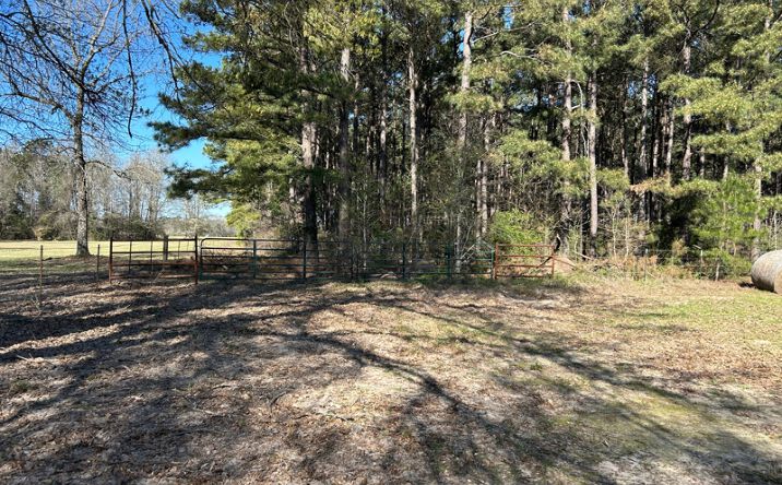 Pictures of Land property located at TBD Easement Rd., Linden, TX 75563 for sales - image #1