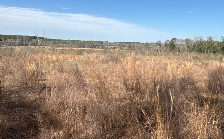 Pictures of Land property located at TBD Hwy 77 W Marietta, Marietta, TX 75566 for sales - image #1