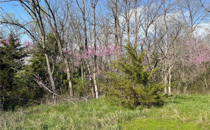 Pictures of Land property located at E 235th Street, Peculiar, MO 64078 for sales - image #1
