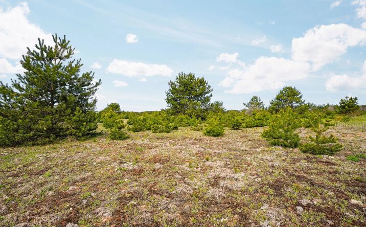 Pictures of Land property located at 48 acres Wetzel Lake Road, Mancelona, MI 49659 for sales - image #1