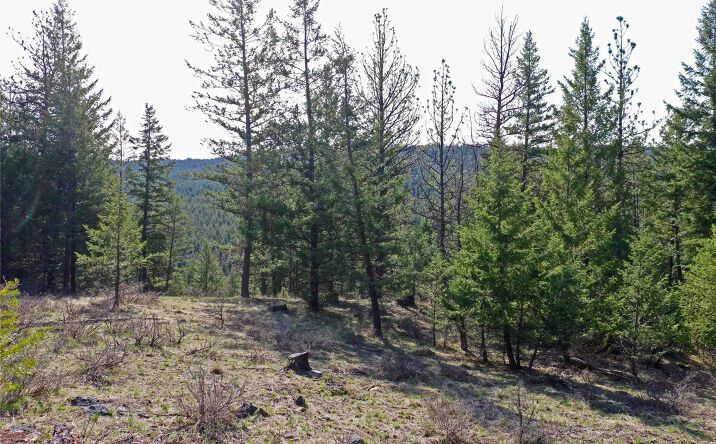 image of property at NHN BROOKES DRIVE Eureka MT 59930