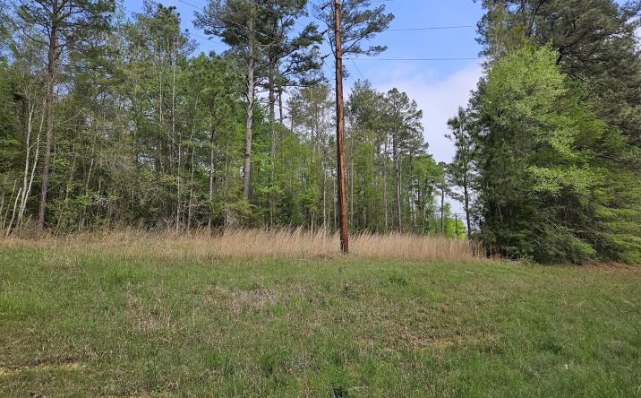 Pictures of Land property located at 0 Hwy 43, Silver Creek, MS 39663 for sales - image #1