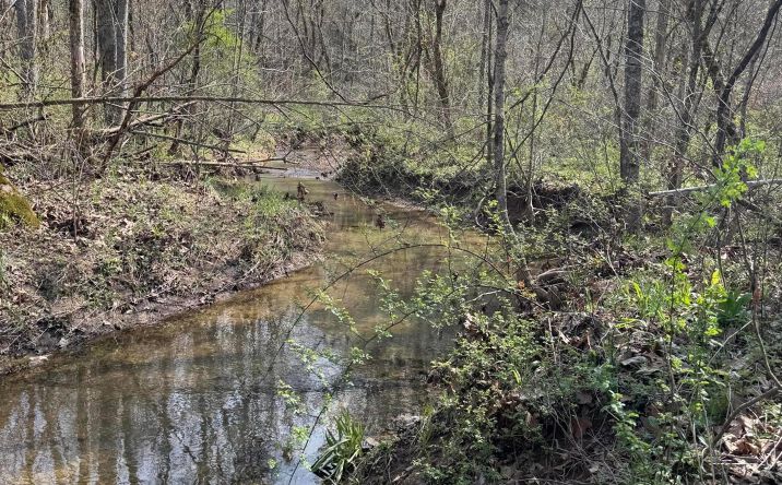 Pictures of Land property located at 18261 Jacksonville Road, Glouster, OH 45732 for sales - image #1