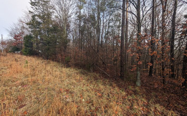 Pictures of Land property located at 255 Bowers Rd, Thomasville, NC 27360 for sales - image #1