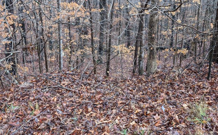 Pictures of Land property located at 501 Factory St, Ronda, NC 28670 for sales - image #1