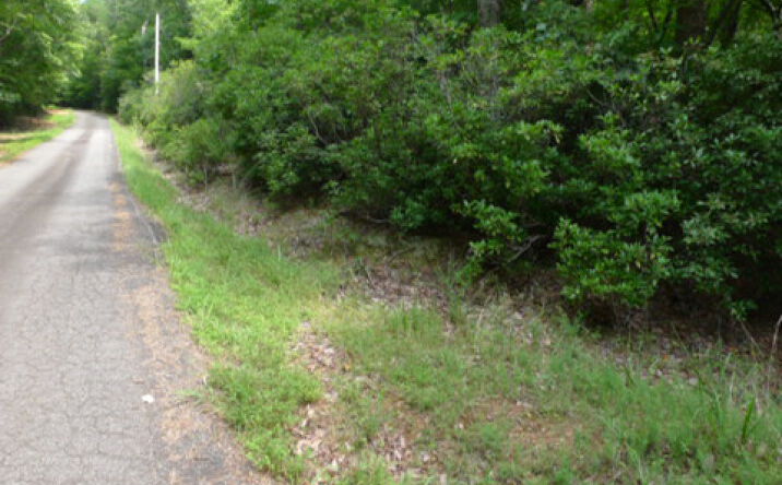 Pictures of Land property located at Lot 18 Mountain View Dr, Lowgap, NC 27024 for sales - image #1