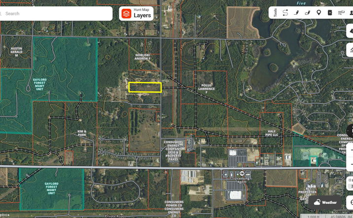 Pictures of Land property located at 11.5 acres Acres N Townline Rd, Treetops Village, MI 49735 for sales - image #1