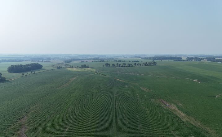 Pictures of Land property located at 0000 Co Rd 61, Browerville, MN 56438 for sales - image #1