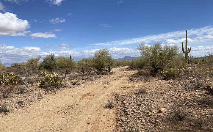 Pictures of Land property located at 105 Acres W Manville, Marana, AZ 85653, 20801 W Manville Rd, Marana, AZ 85653 for sales - image #1