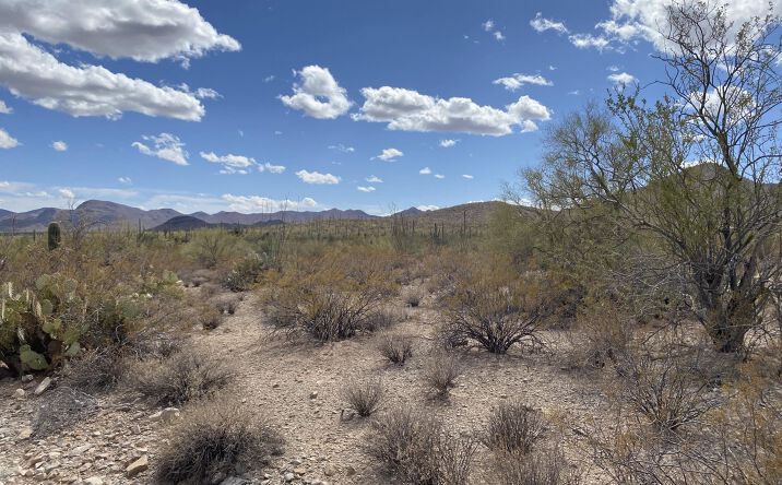 Pictures of Land property located at 105 acres W Manville Road, Marana, AZ 85653 for sales - image #1