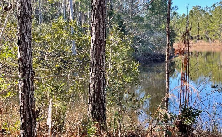 Pictures of Land property located at 0 Landing Trail, Waynesville, GA 31566 for sales - image #1