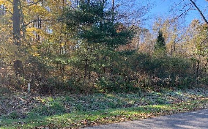 Pictures of Land property located at 0 Greenlawn Drive, Howard, OH 43028 for sales - image #1