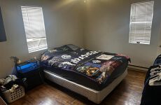 22937394