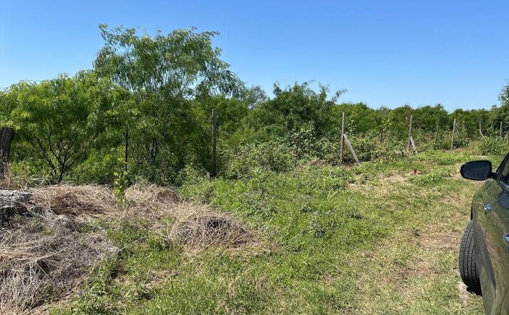 Pictures of Land, Multifamily property located at 15732 Primera Rd., Harlingen, TX 78552 for sales - image #1
