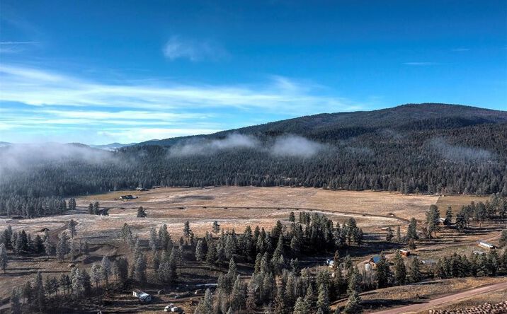 Pictures of Land property located at 13442 Vannoy Lane (Lot #20), Greenough, MT 59823 for sales - image #1