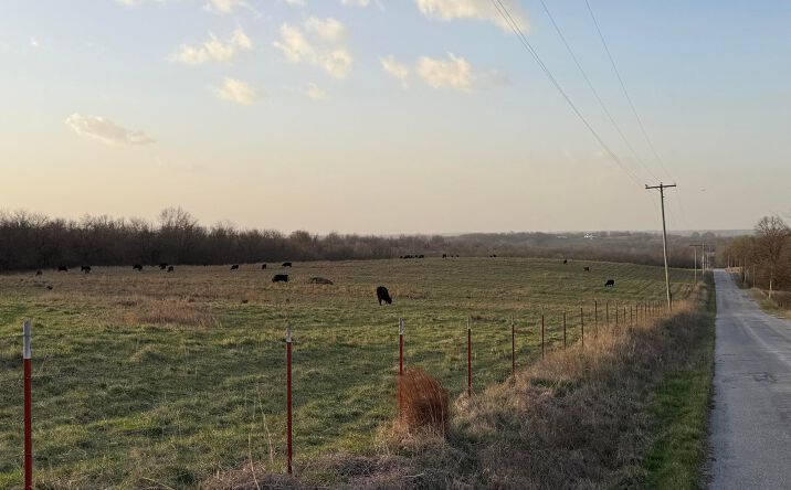 Pictures of Land property located at Tract 3 Dade 142, Lockwood, MO 65752 for sales - image #1