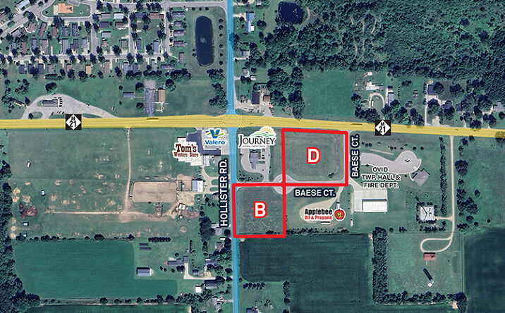 Pictures of Land property located at East M-21, Ovid, MI 48866 for sales - image #1