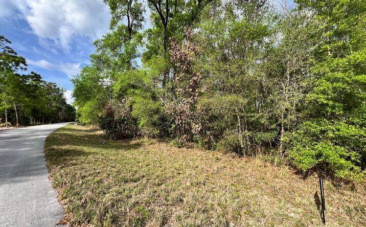 Pictures of Land property located at 00 NW 74th Ct, Chiefland, FL 32626 for sales - image #1
