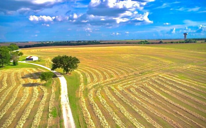 Pictures of Land, Mixed Use, Multifamily property located at 450 Co Rd 398, Taylor, TX 76574 for sales - image #1