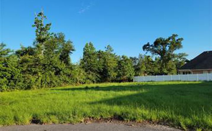 Pictures of Land property located at W Eagle's Nest, Lake Charles, LA 70611 for sales - image #1